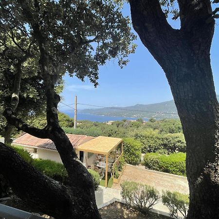 Résidence île de beauté Propriano  Esterno foto