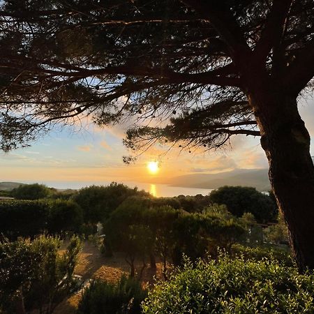 Résidence île de beauté Propriano  Esterno foto
