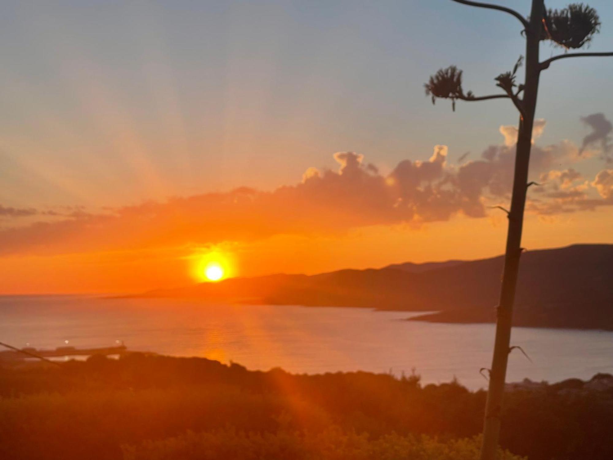 Résidence île de beauté Propriano  Esterno foto