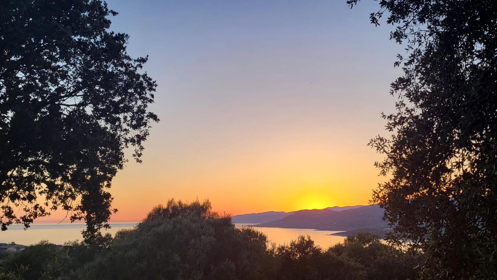 Résidence île de beauté Propriano  Esterno foto