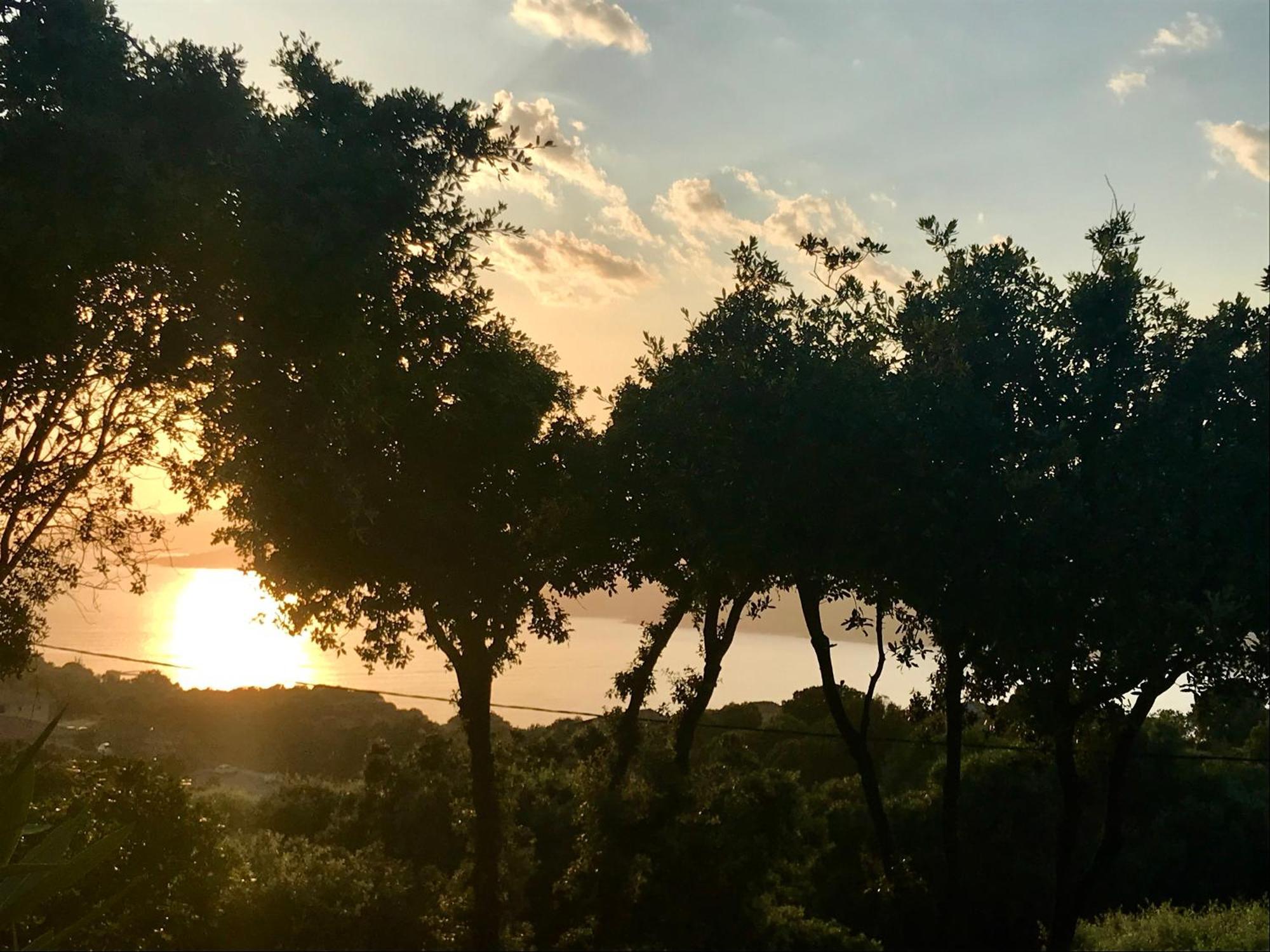 Résidence île de beauté Propriano  Esterno foto