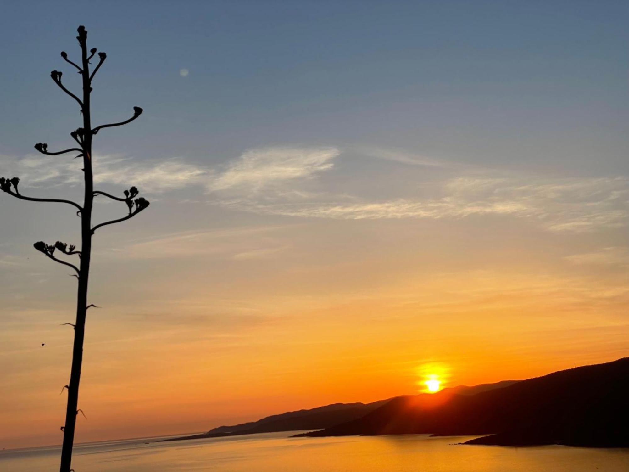 Résidence île de beauté Propriano  Esterno foto
