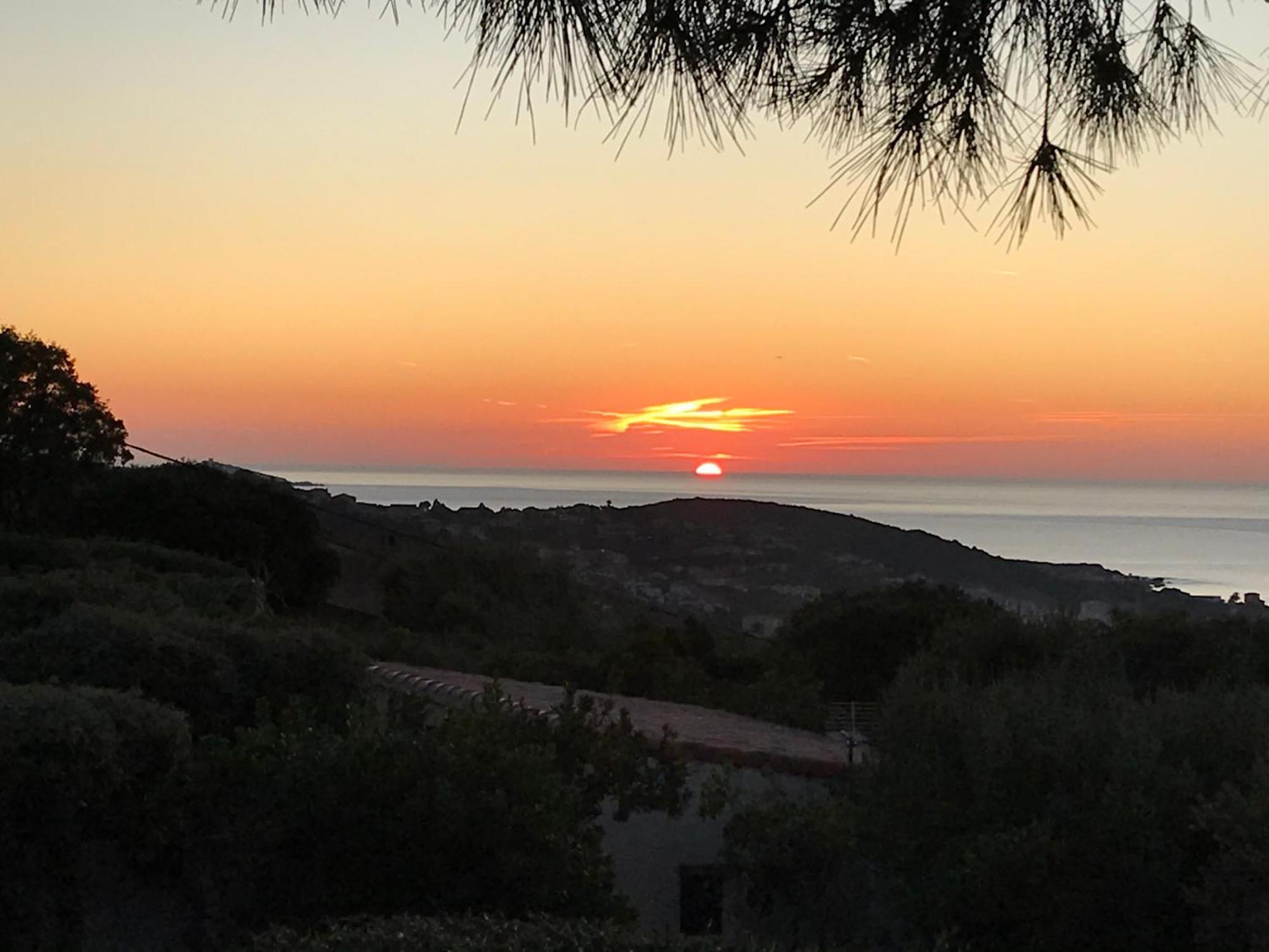 Résidence île de beauté Propriano  Esterno foto