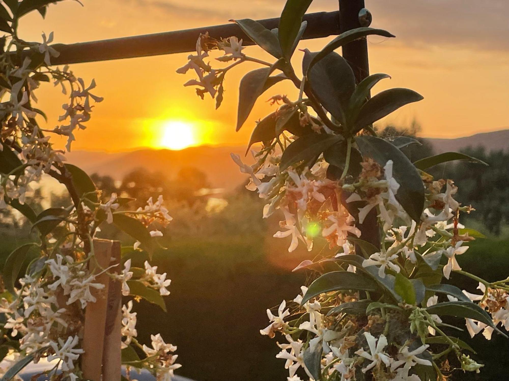 Résidence île de beauté Propriano  Esterno foto
