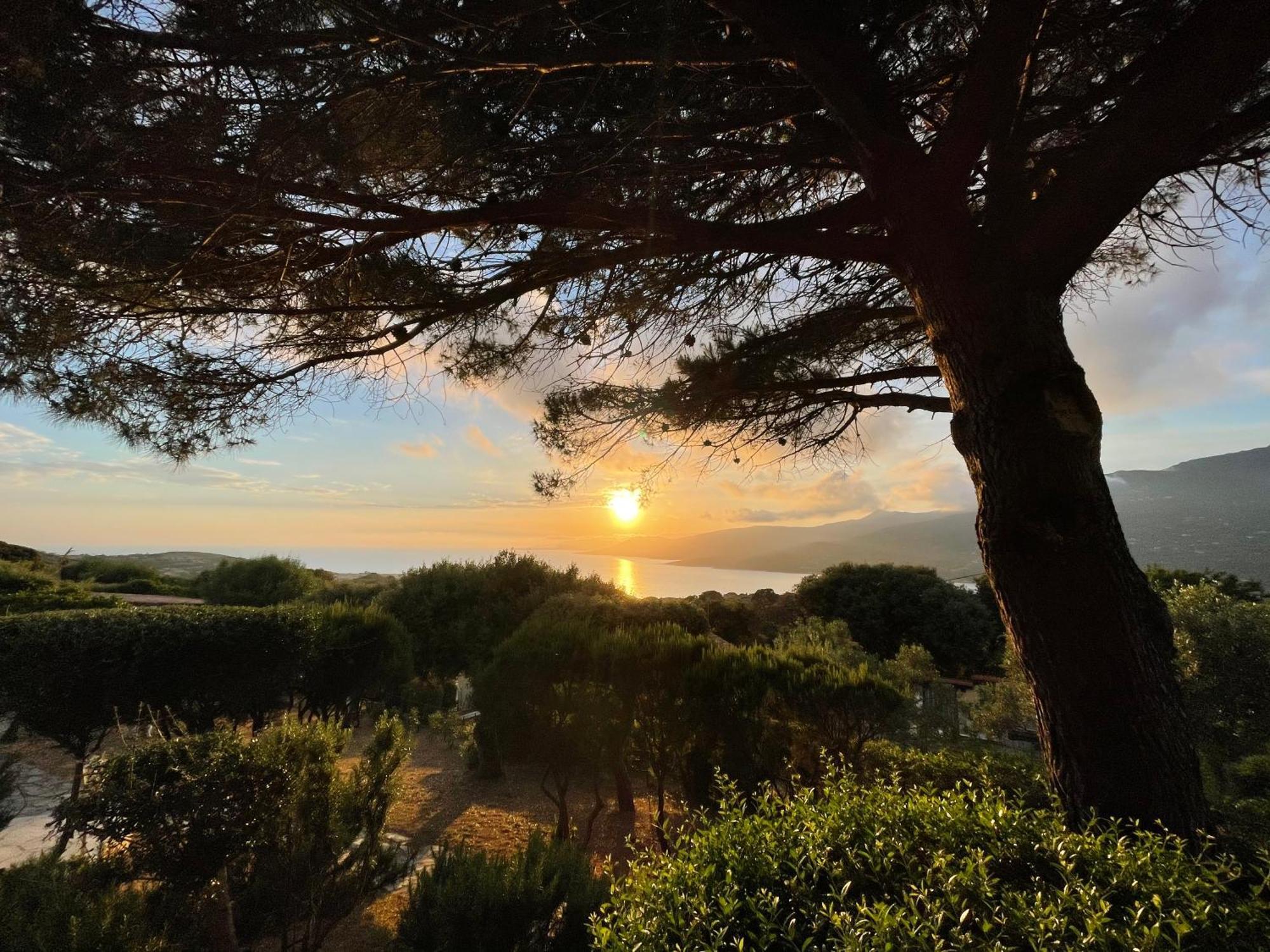 Résidence île de beauté Propriano  Esterno foto
