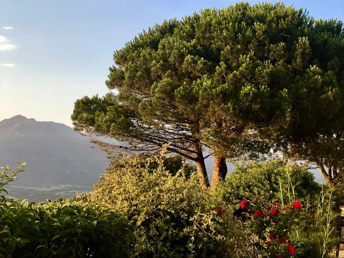 Résidence île de beauté Propriano  Esterno foto